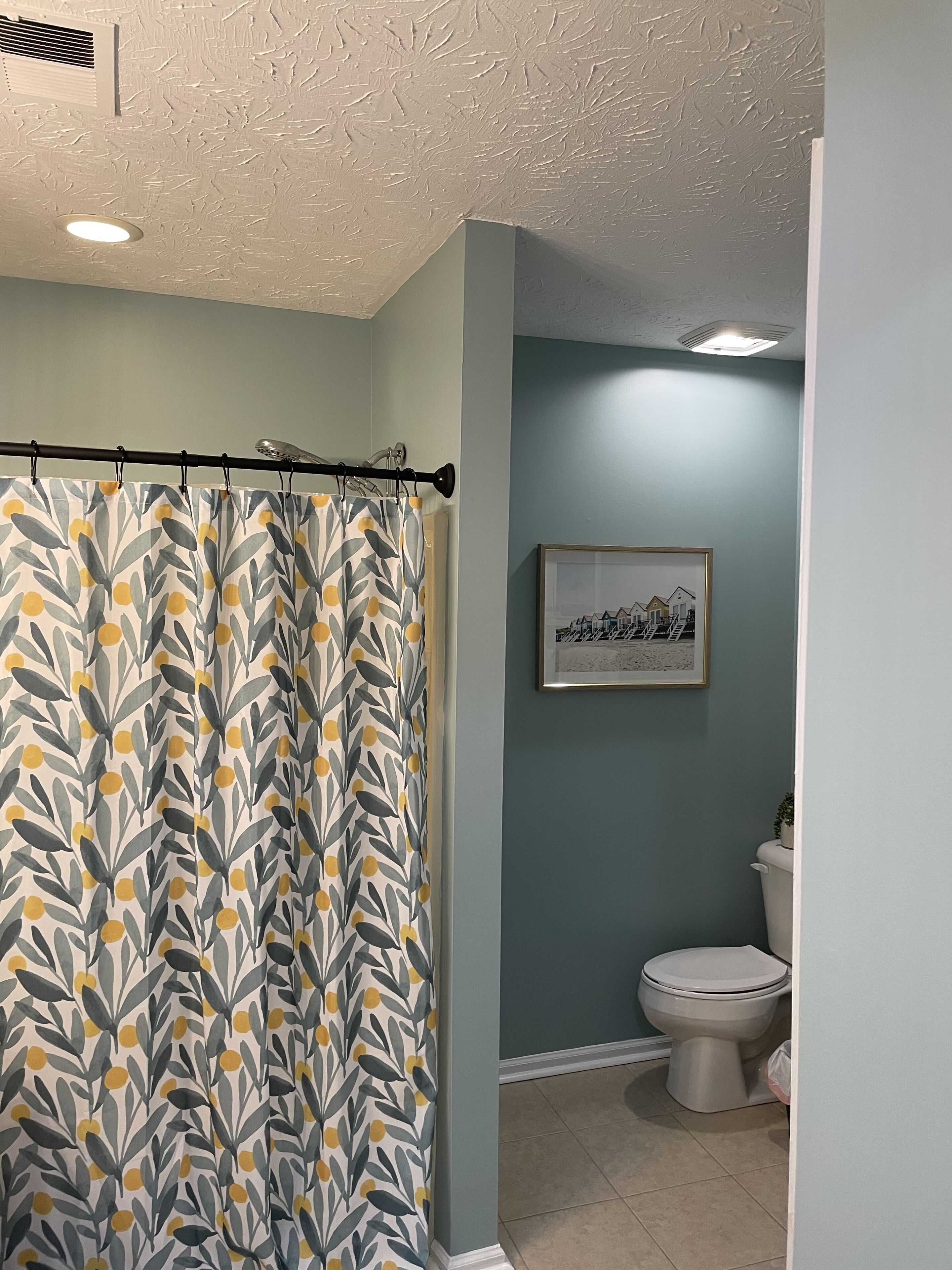 A bathroom with a shower curtain, a toilet, and a framed picture on the wall.