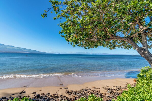 A beach with clear blue water, a sandy shore, and a tree providing shade. - Celebrate in style with stunning Oceanfront views (Wailuku)