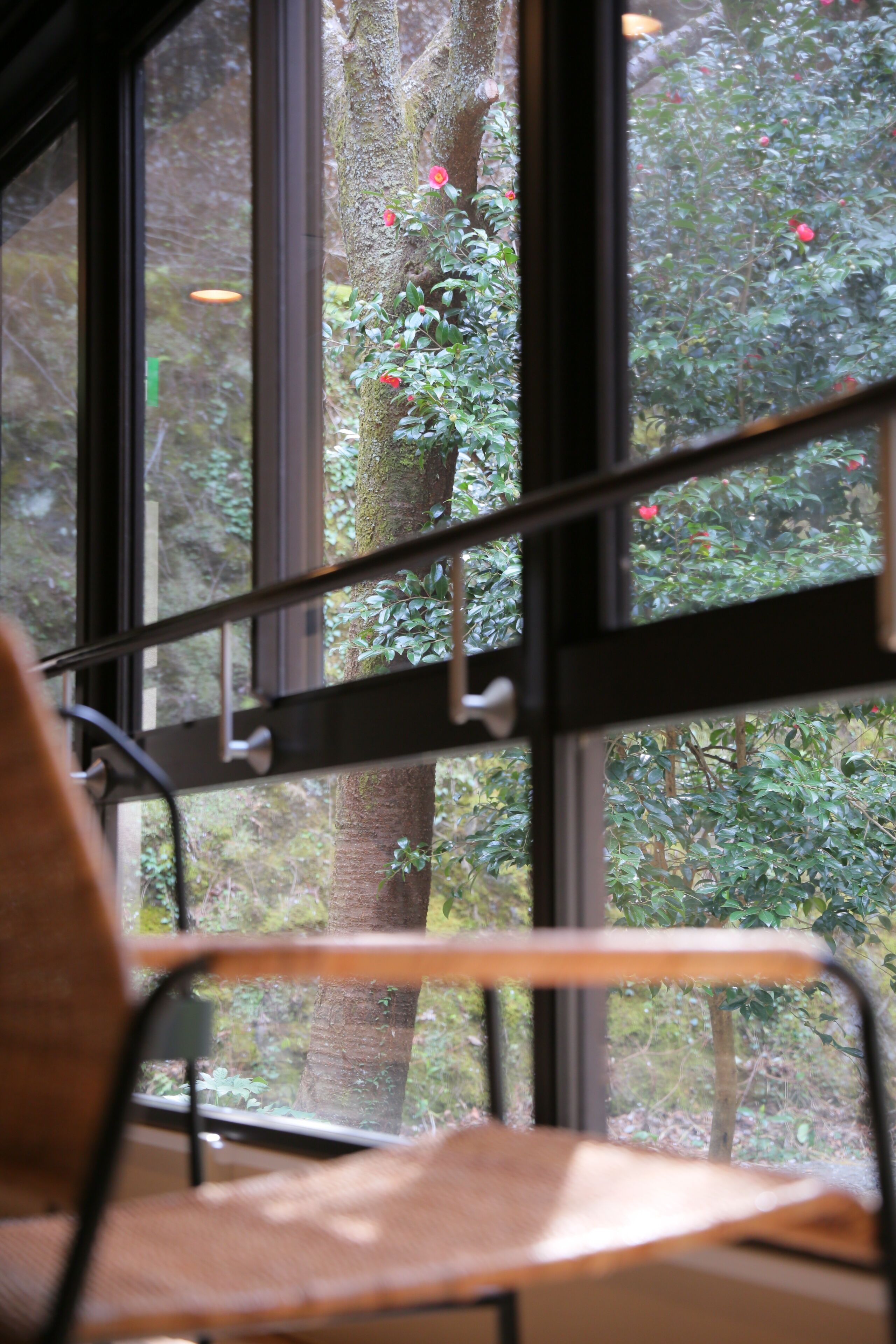 A view through a window with a chair in the foreground.