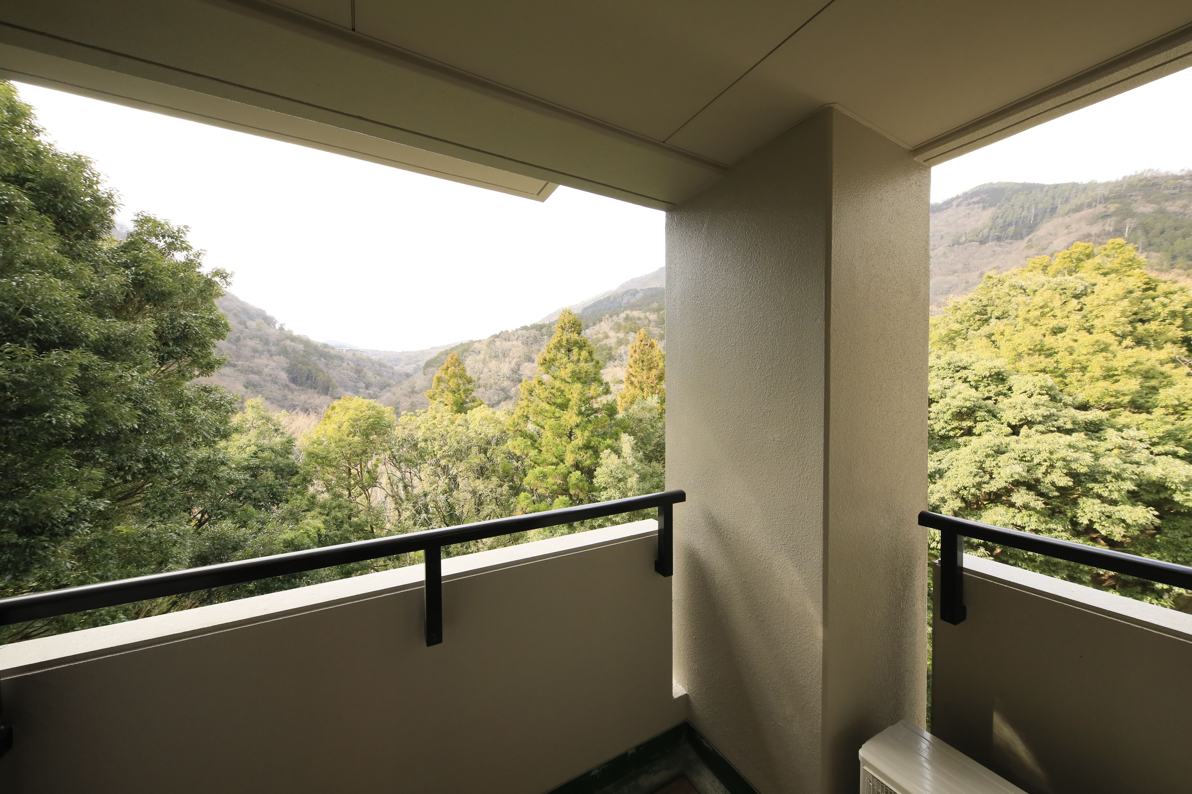 A balcony with a view of a forested valley and mountains.