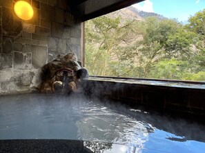 Hot springs - Hakone Suisen (Hakone)