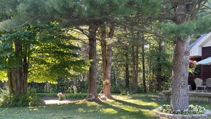 Un jardin bien entretenu, agrémenté d’arbres adultes, d’un chemin en pierre et d’un espace patio avec des meubles d’extérieur.