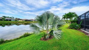 A well-maintained grassy area with a palm tree, a pond, and modern buildings in the background. - Indulge in a lavish home, heated saltwater pool, & spa, near all Naples offers. (Naples)