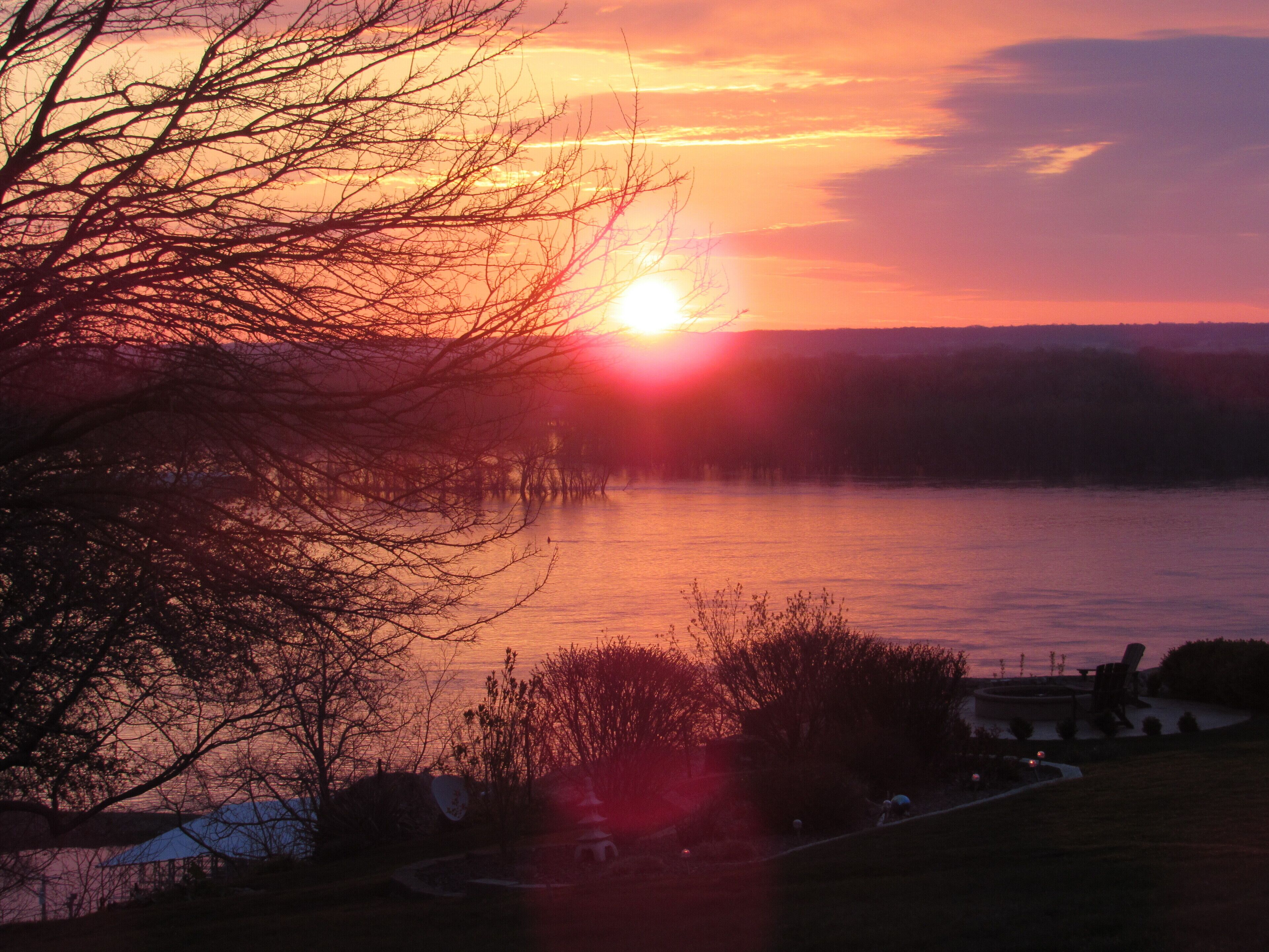 Un coucher de soleil sur un lac, avec des arbres se découpant en silhouette sur le ciel.