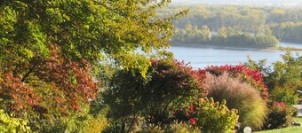 "Berry Patch" @ Squirrel's Nest B&B, LLC