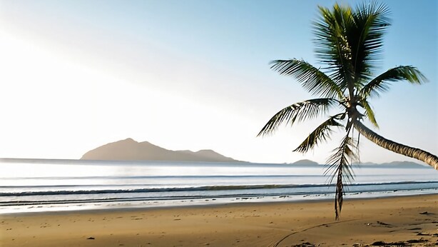 A beach with a palm tree, calm sea, and distant mountains. - BHA 1 Beachfront Haven fullhouse (Mission Beach)