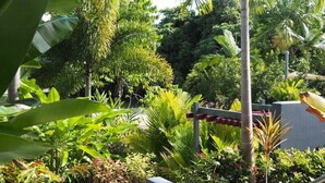 A lush garden with various tropical plants and a structure with a red roof. - BHA 1 Beachfront Haven fullhouse (Mission Beach)