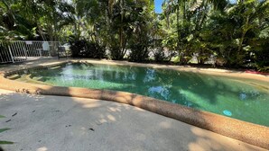A swimming pool with a curved edge, surrounded by dense tropical foliage. - Liana 4 Beach Lovers All at your finger tips (Mission Beach)