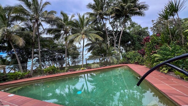 Une piscine dont le bord est recouvert de carreaux, entourée de palmiers et de différentes plantes.