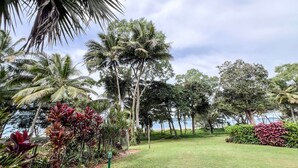 Un jardin tropical agrémenté de palmiers, d’une pelouse verdoyante et de différentes espèces d’arbustes.
