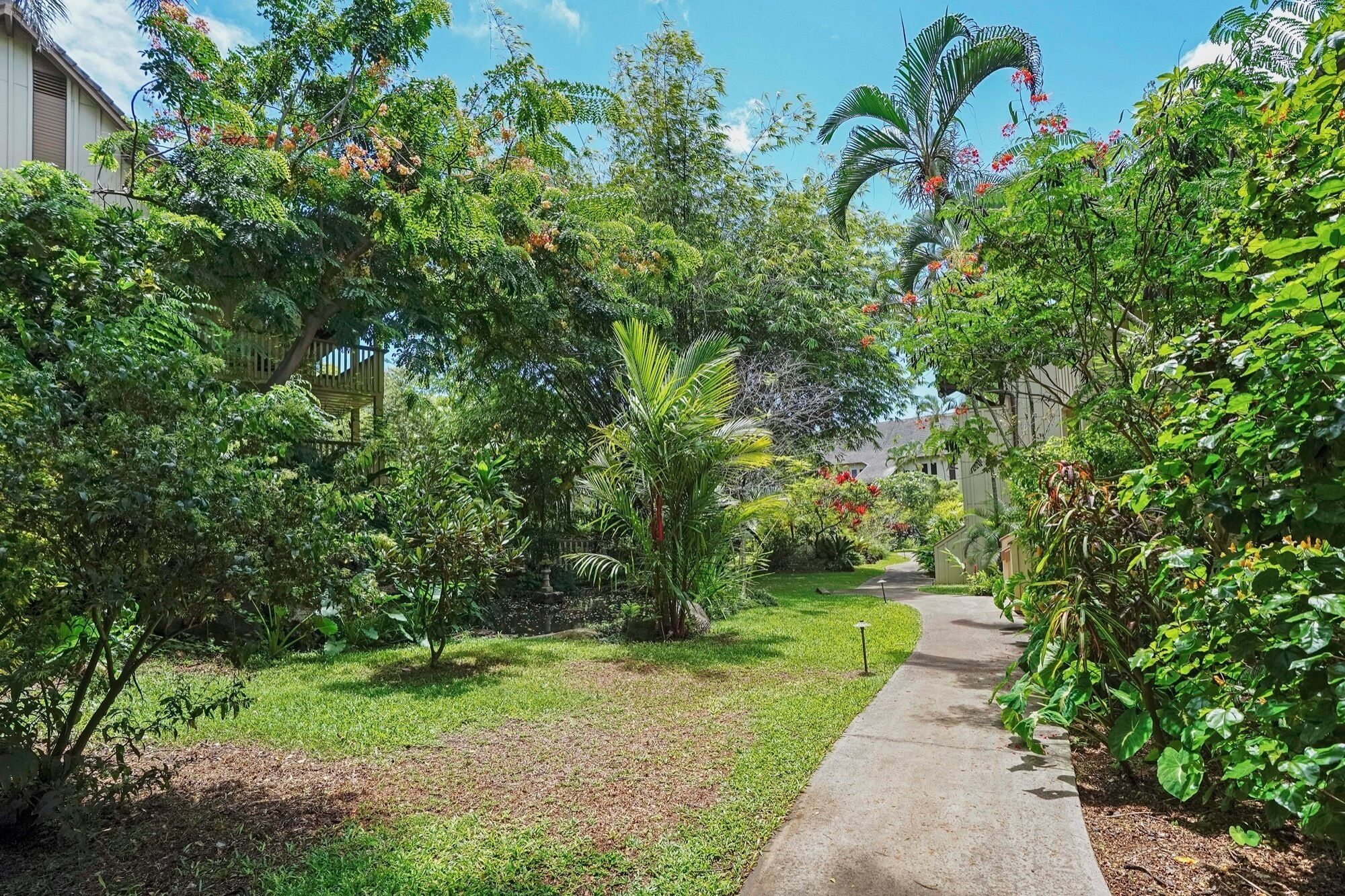 A pathway flanked by lush greenery and a variety of trees and shrubs, leading to a building with a covered porch.
