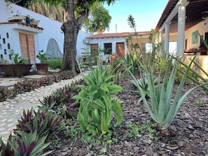 A garden with various plants, a pathway, and a building with a tiled roof.