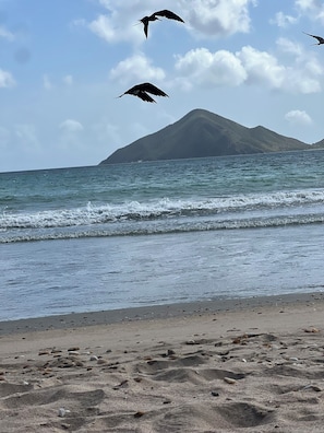 Una playa con olas, piedras y una montaña al fondo.