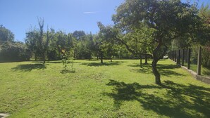 Un espace vert avec de l’herbe, des arbres et une clôture.