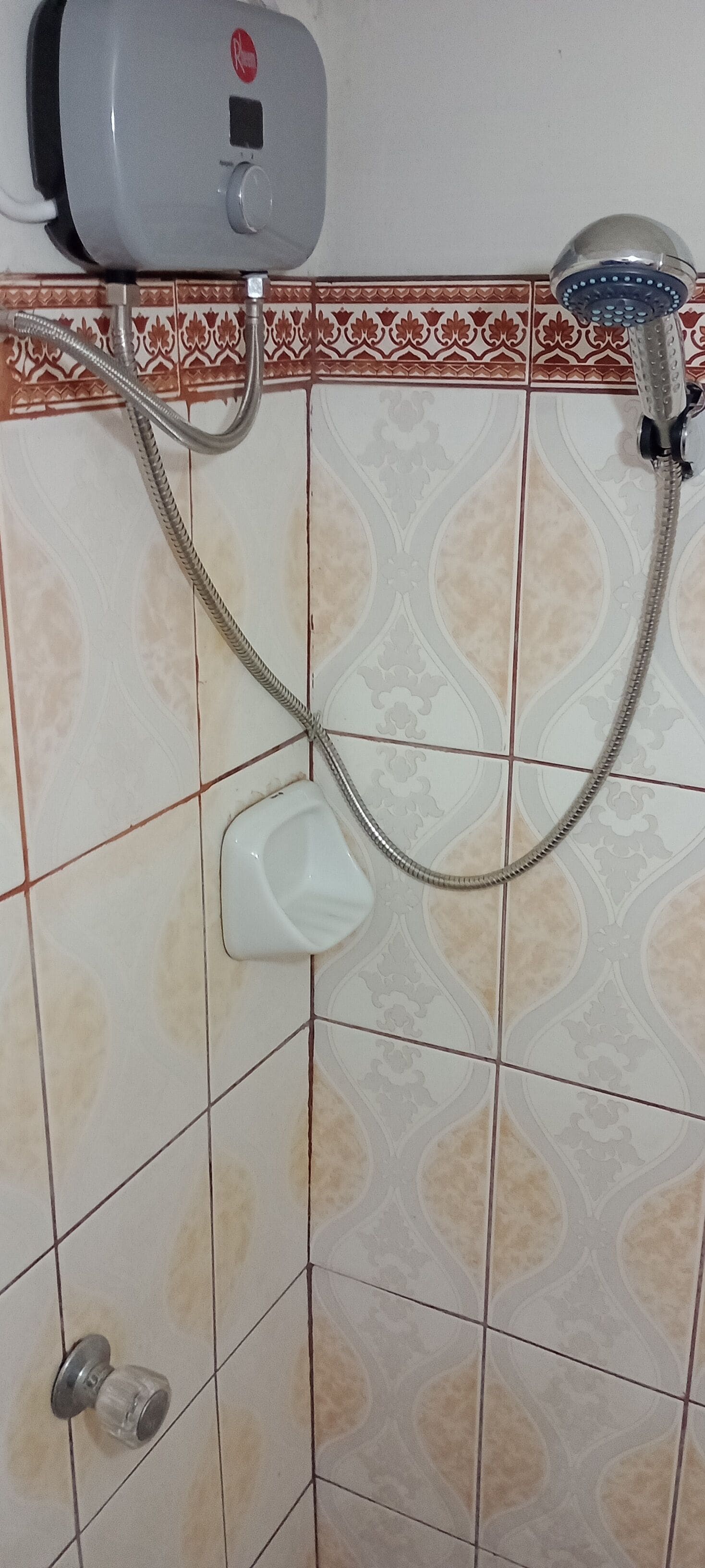Ducha con cabezal de ducha de mano y bidé de mano.