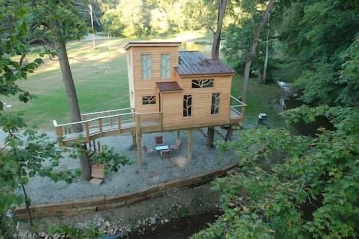 Imagen de perfil del propietario o de la propietaria