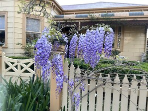 Flowers in season