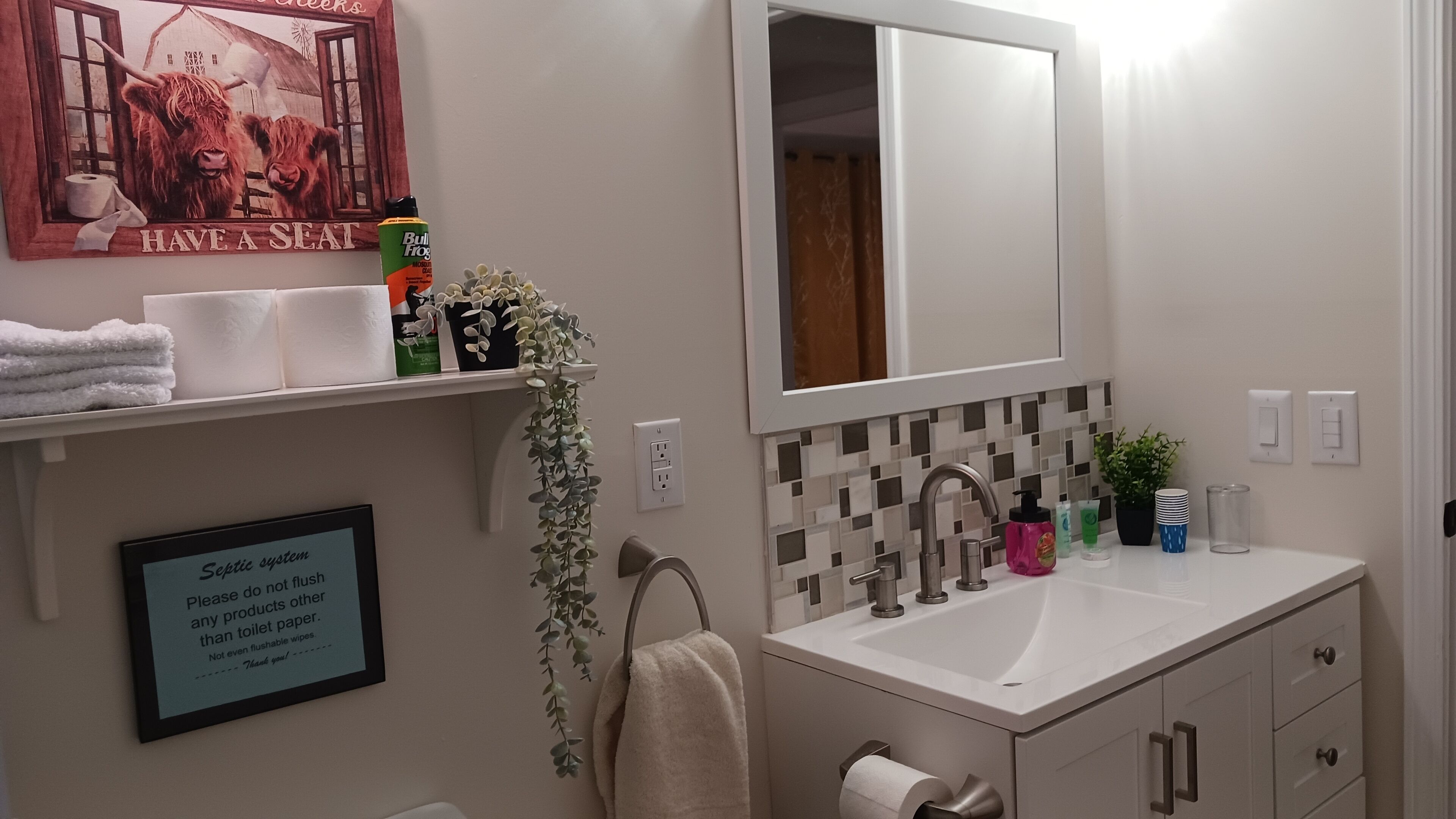 A bathroom with a sink, mirror, towel rack, and a sign about septic system.