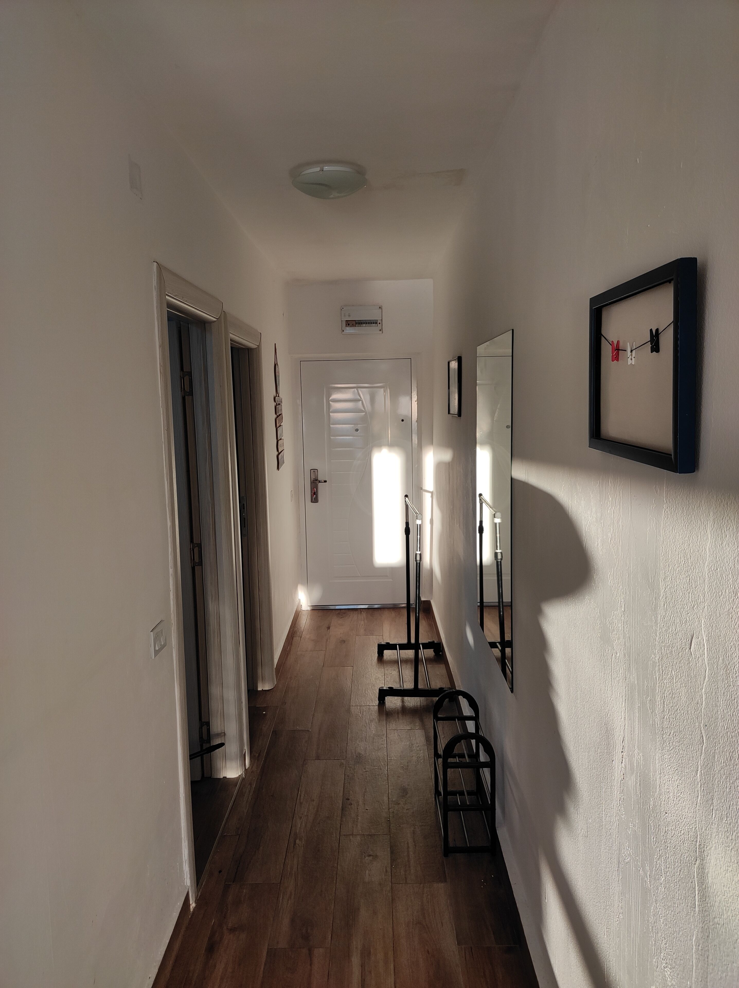 A hallway with a wooden floor, a door at the end, a ceiling light, and a framed picture on the wall.