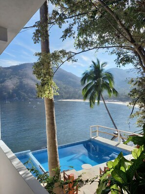 Outdoor pool, sun loungers