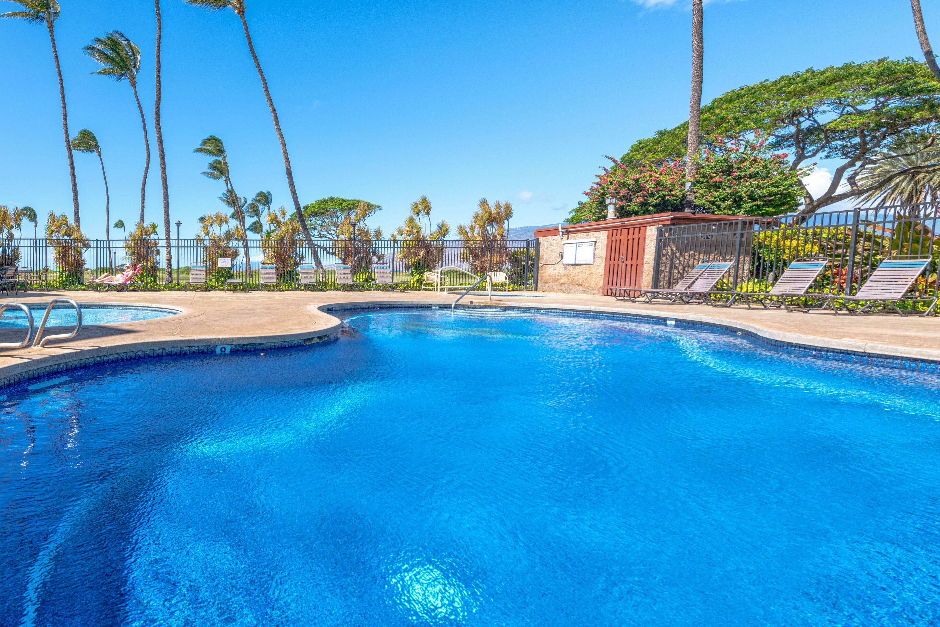 A clear blue pool surrounded by palm trees and lounge chairs, with a view of the ocean.