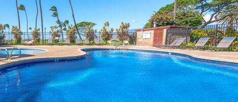 A clear blue pool surrounded by palm trees and lounge chairs, with a view of the ocean.