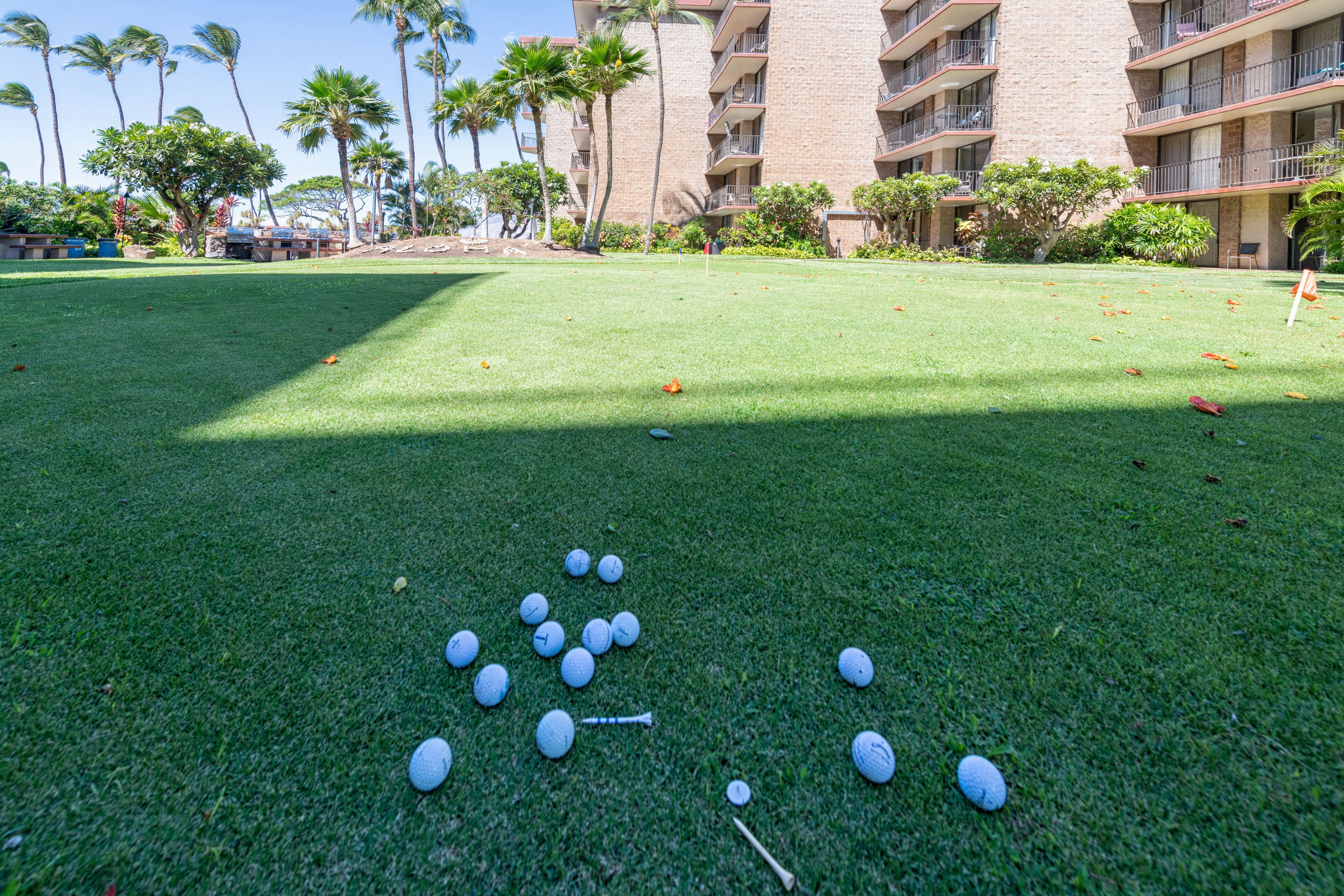A golf course with a putting green, scattered golf balls, and a golf club.