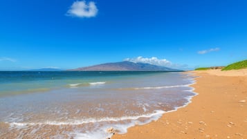 On the beach
