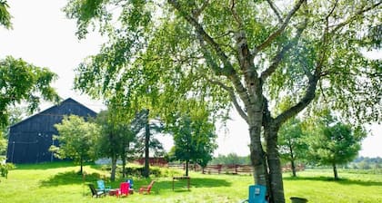 Rustic Farmhouse Oasis Near Downtown Guelph, Surrounded by Nature