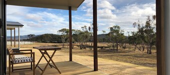Modern studio cabin set amongst vineyards, bushland and grazing paddocks.