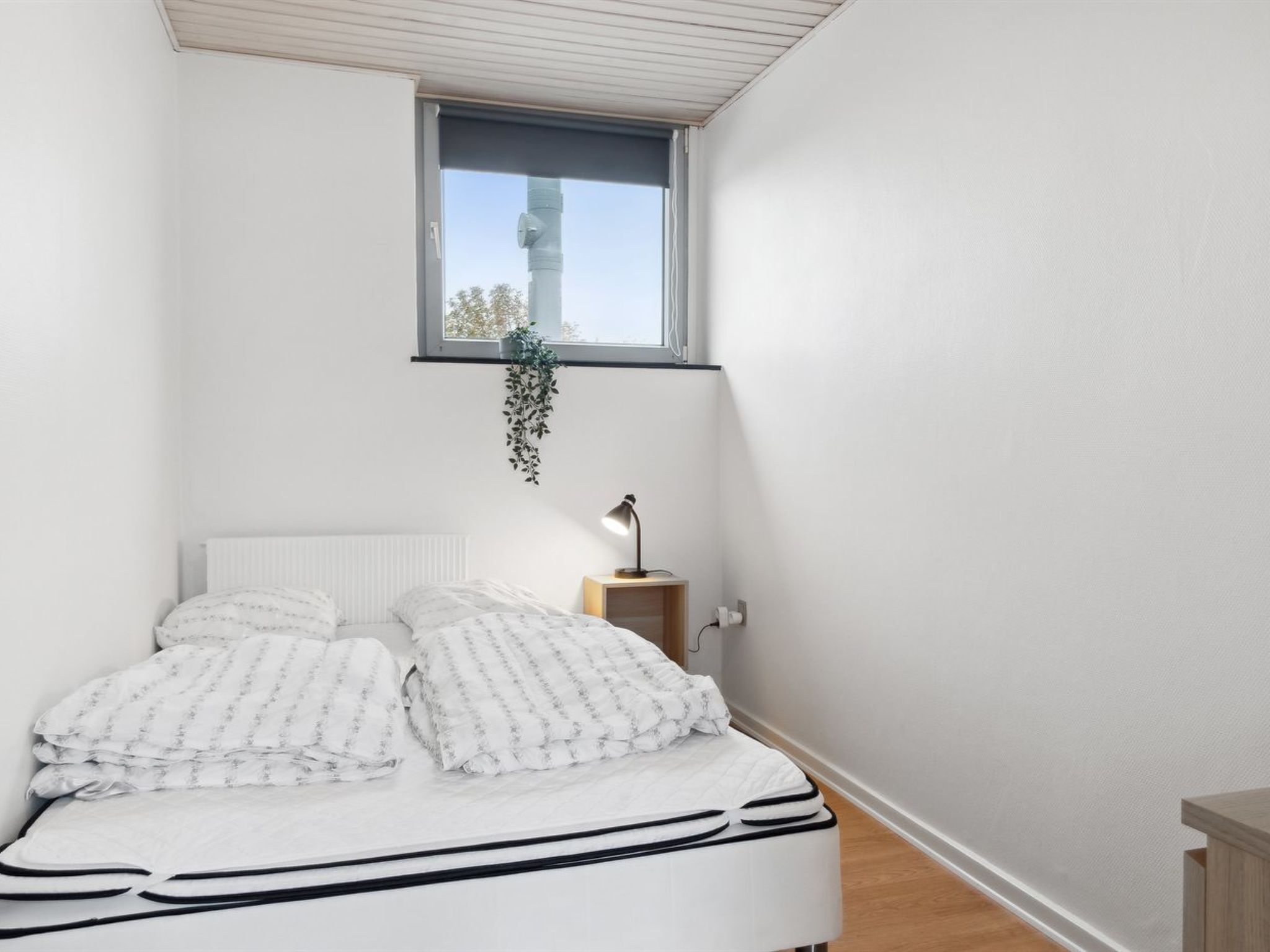 Una camera da letto con un letto, un comodino, una lampada e una finestra con una pianta.