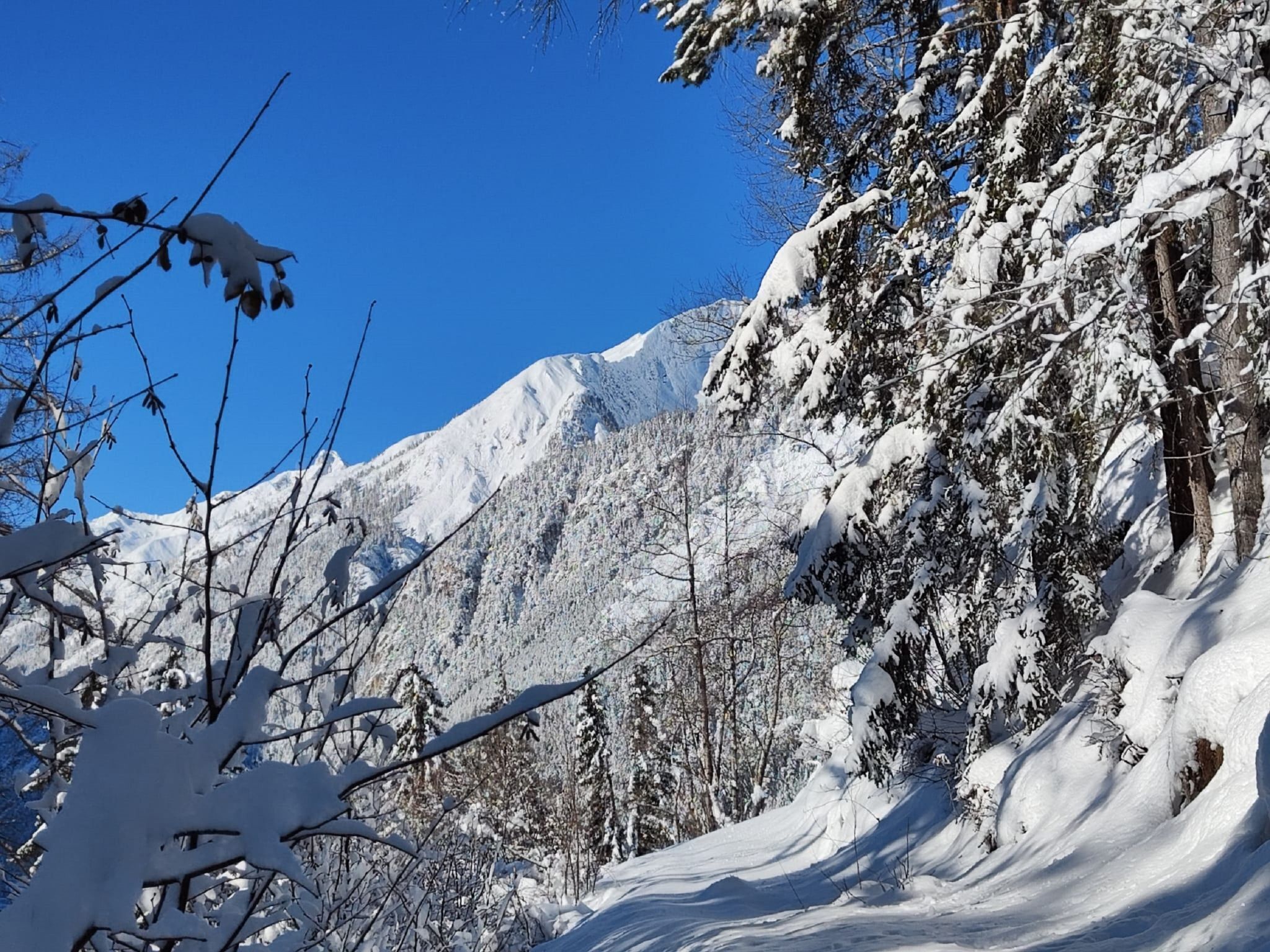A snowy mountain landscape with clear blue skies.