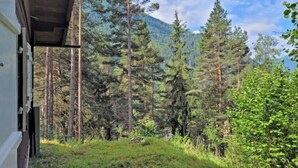 A view from a building's porch overlooking a dense forest and a mountain. - Lieblingsplatz by Interhome (Flirsch)