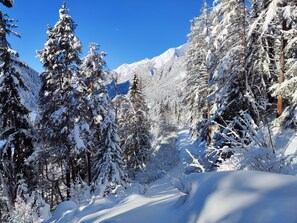 A snowy mountain path surrounded by evergreen trees. - Lieblingsplatz by Interhome (Flirsch)