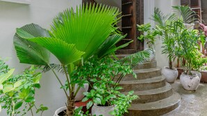 A courtyard with potted plants, a wooden staircase, and a sign above the entrance. - Shoki Shoki Hotel Stone Town (Zanzibar Town)
