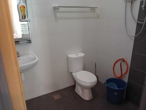 Shower, bidet, towels, soap