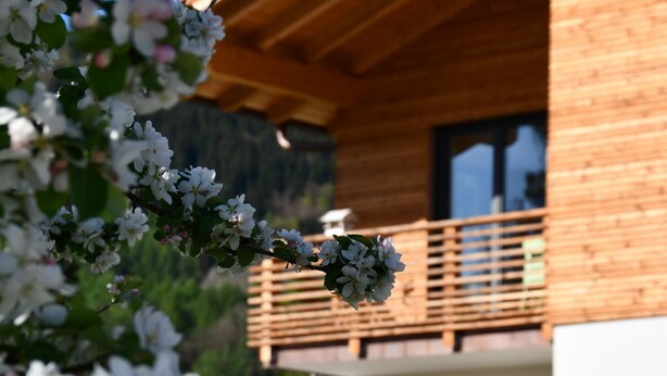A wooden house with a balcony and a garden with blooming flowers. - New 2 room apartment in Murnauer Moos (Schwaigen)