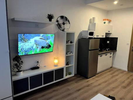 Réfrigérateur, micro-ondes, lave-vaisselle, cafetière/bouilloire. Studio très agréable