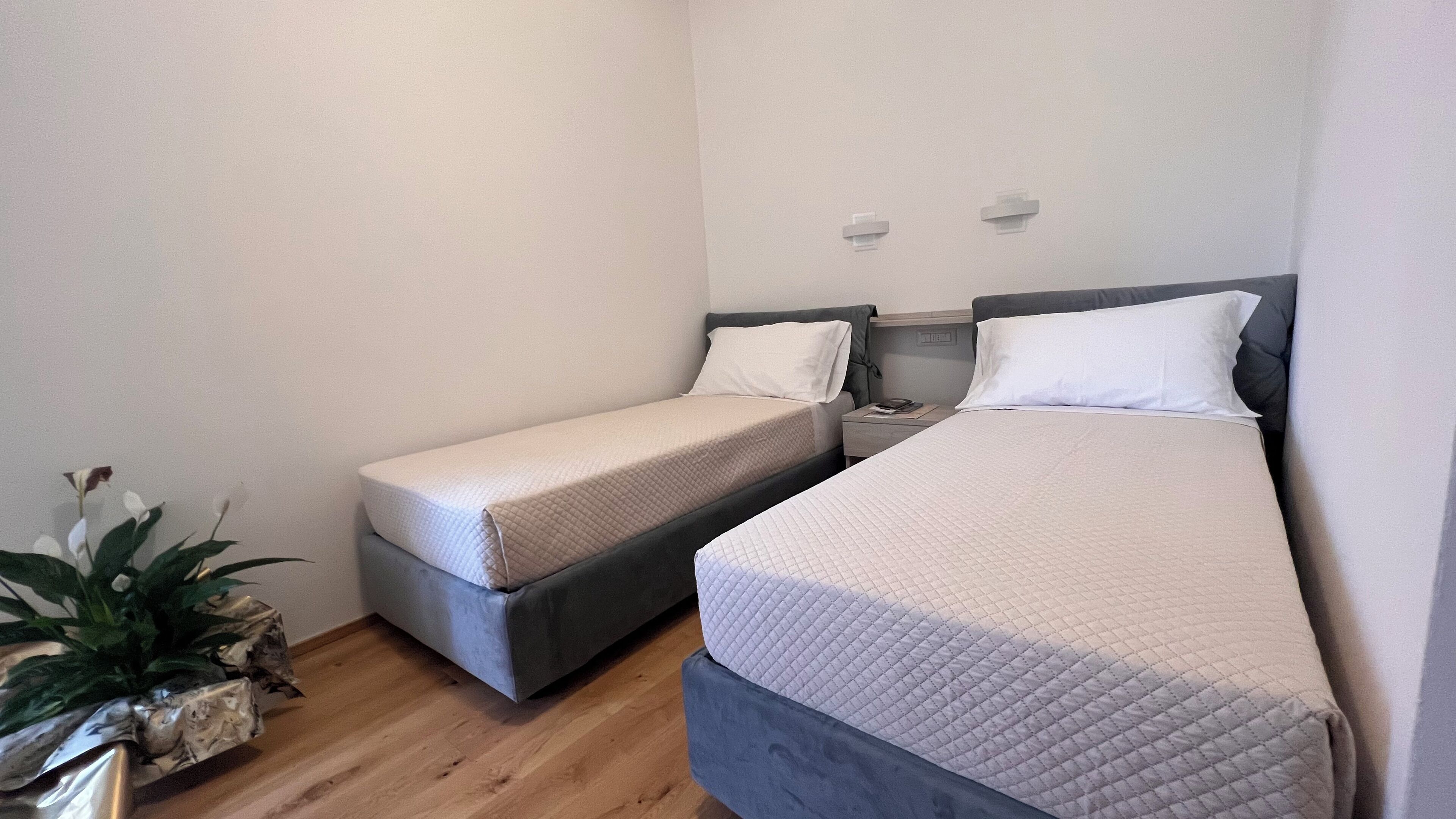 A small, clean room with two single beds, a bedside table with a lamp, and a potted plant.