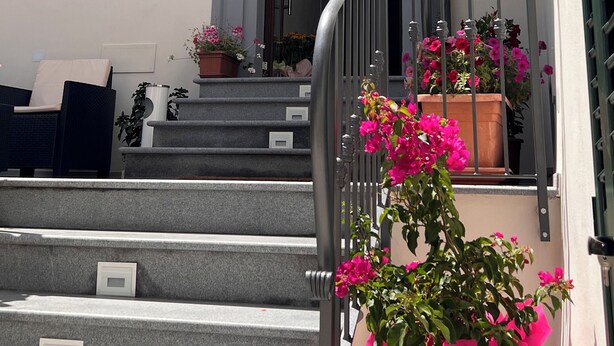A staircase leading to a building entrance with a white facade, a small window with shutters, and a potted plant with pink flowers at the bottom. - B&B Aurora (San Marcello Piteglio)