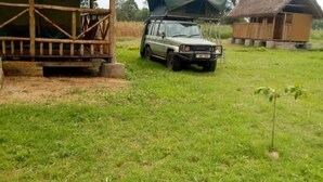 Unclassified image, 3 of 30, button - Ishasha Pride Lodge  (Ishasha)