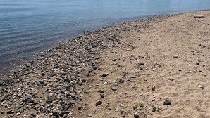 A riverbank with a pebbly shore and a distant view of wind turbines. - Tiny House Holland by the lake. A quiet, comfortable break on the beach by the water. (Lathum)