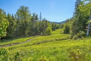 Property grounds - Saddleback - Parmachenee A Frame #19 - Apres Ski Maine (Sandy River Plantation)
