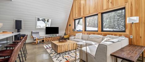 Smart TV, fireplace, books, stereo