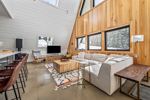 Smart TV, fireplace, books, stereo