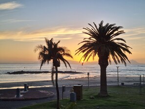 A beach scene with palm trees and a sunset over the ocean. - Beach2Anchor (Cape Town)