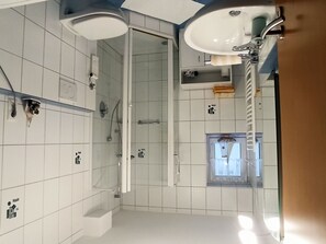 Regadera, secadora de cabello, toallas, papel de baño 