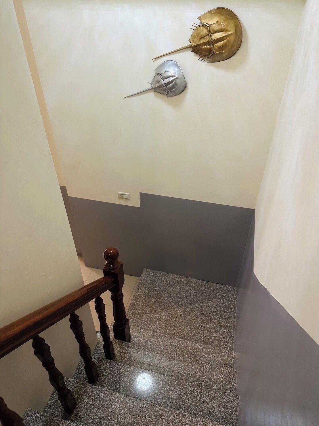 A staircase with a wooden handrail and granite steps.