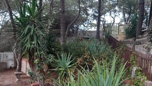A garden with various plants, including aloe vera, and a stone pathway. - Three-room apartment within walking distance from the sea (Sardegna)