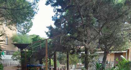 Three-room apartment within walking distance from the sea